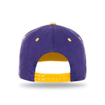One Size Purple/Gold Cobra Cap PTC-2