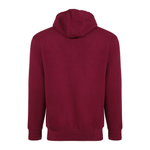 X-Small Burgundy Smart Blanks 101