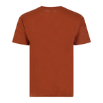 X-Small Clay Heather Smart Blanks 403