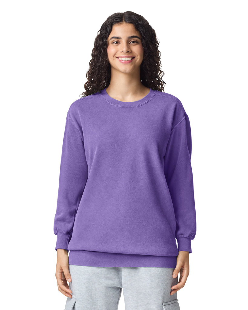 3X-Large Violet Comfort Colors 1566 