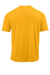 6X-Large Gold Paragon 200 