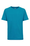 Youth X-Large Turquoise Next Level 3310 