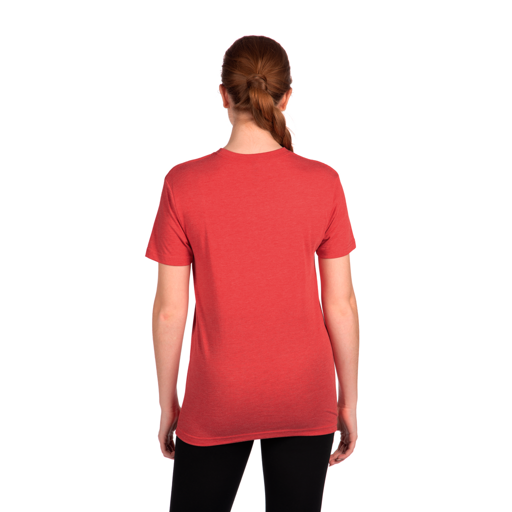 3X-Large Vintage Red Next Level 6010 