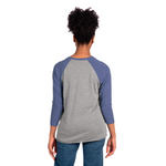 3X-Large Vintage Royal/Premium Heather Next Level 6051 