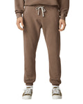 2X-Large Espresso Comfort Colors 1469 