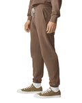 2X-Large Espresso Comfort Colors 1469 