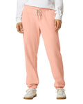 2X-Large Peachy Comfort Colors 1469 