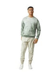 3X-Large Fern Comfort Colors 1545 
