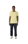 3X-Large Pollen Comfort Colors 2717 