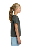 Youth X-Large Charcoal Gildan 3000B 