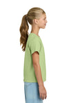 Youth X-Large Pistachio Gildan 3000B 