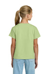 Youth X-Large Pistachio Gildan 3000B 
