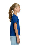 Youth X-Large Royal Gildan 3000B 