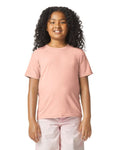 Youth X-Large Dusty Rose Gildan 64000BCVC 