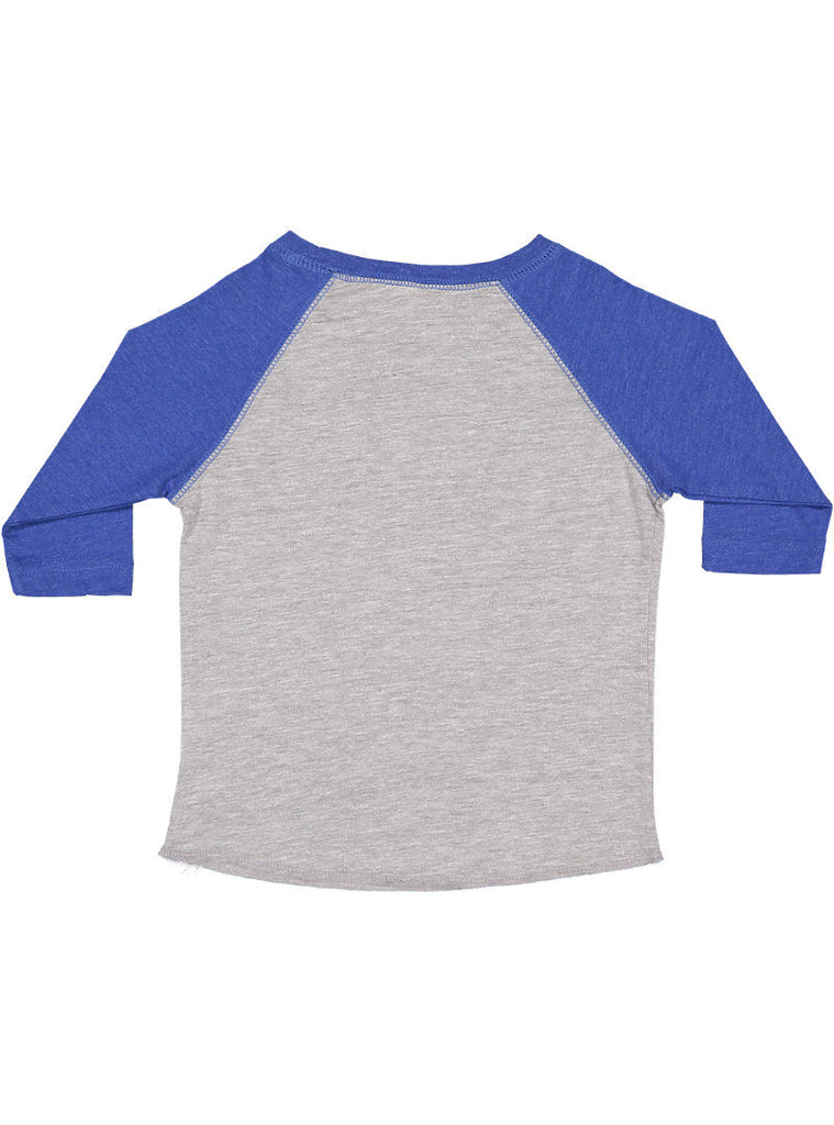 Toddler 5T/6T Vintage Heather/Vintage Royal Rabbit Skins 3330 