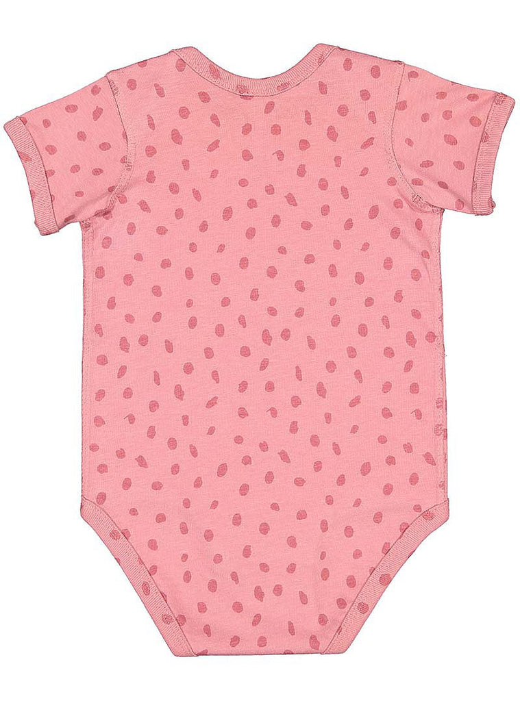 24-month Mauvelous Spot Rabbit Skins 4424 