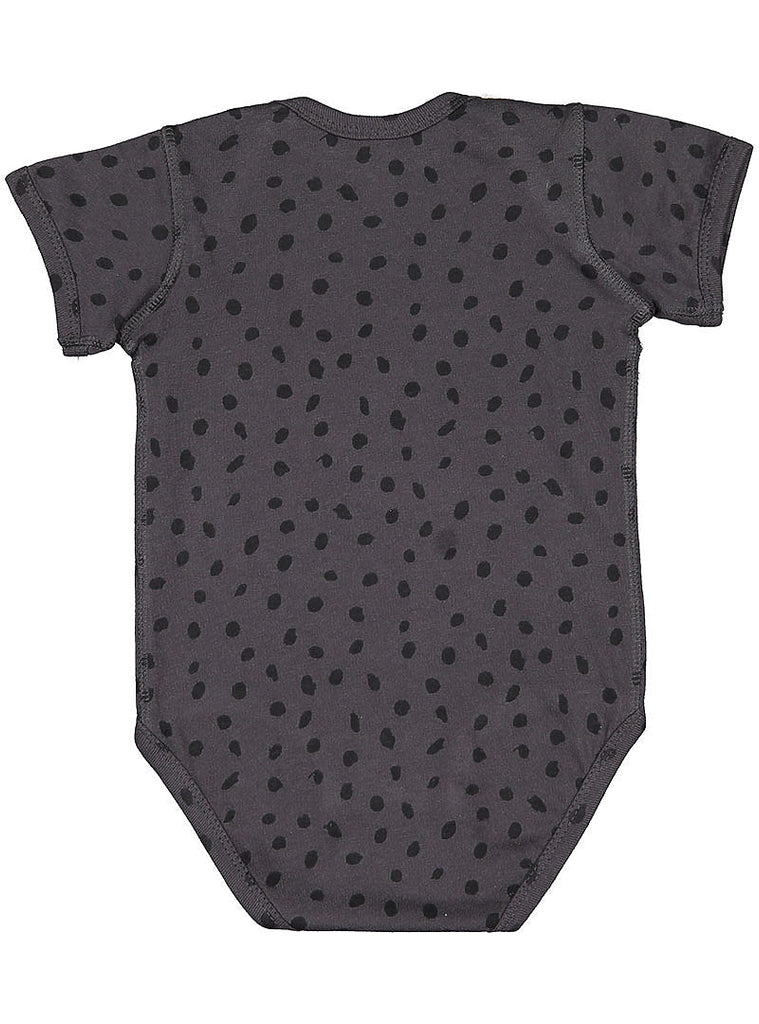 24-month Slate Spot Rabbit Skins 4424 