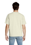 3X-Large Pigment Pistachio Lane Seven LS16005GD