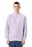 X-Small Ice Purple Lane Seven LS11004 