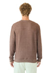 X-Small Terra Brown Lane Seven LS11004 