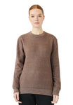 X-Small Terra Brown Lane Seven LS11004 