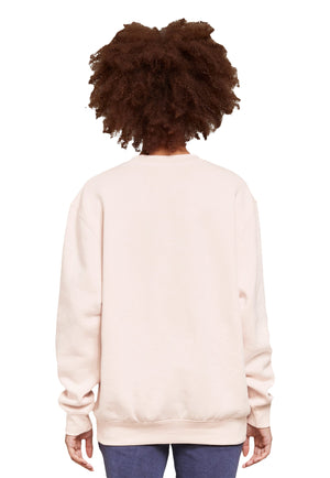 X-Small Pale Pink Lane Seven LS14004 