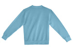 X-Small Pebble Blue Lane Seven LS16004 