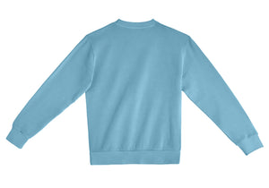 X-Small Pebble Blue Lane Seven LS16004 