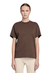 X-Small Chocolate Lane Seven LS17005 