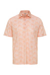 4X-Large Coral Paragon 154 