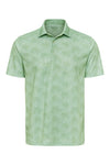 4X-Large Palm Green Paragon 154 