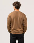 Large Chestnut REINA 006 