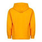 Youth X-Small Gold Smart Blanks 301 